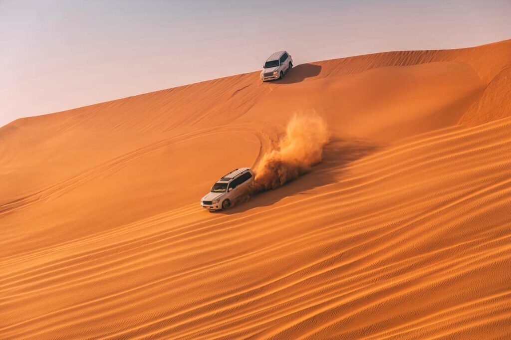 Dubai Desert Safari