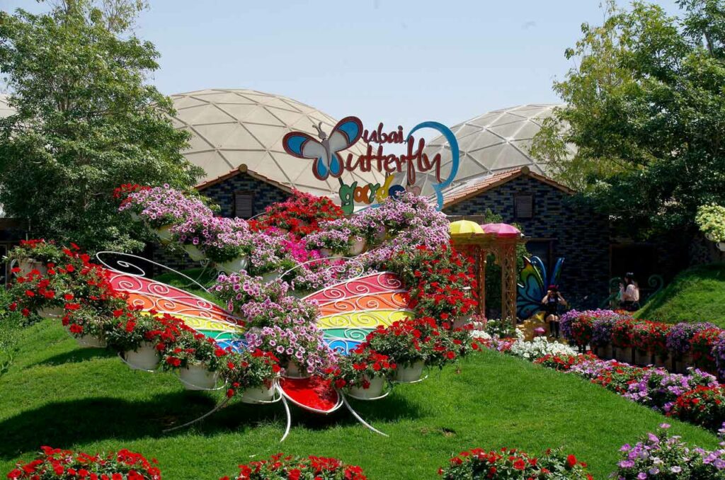 Dubai Butterfly Garden